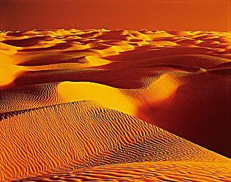 《持枪松鼠》主机版10月15日推出 PC版本月上线